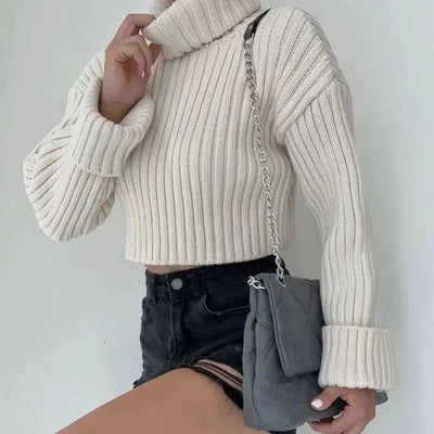 Knit Turtleneck Flare Sleeve Sweater